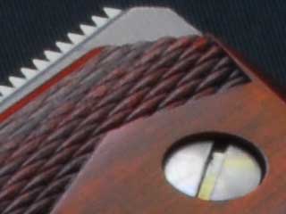 �s����ʐ^2